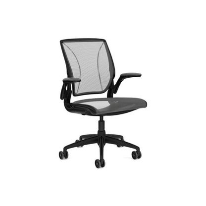 Mesh Seat / Mesh Back (Black Frame)